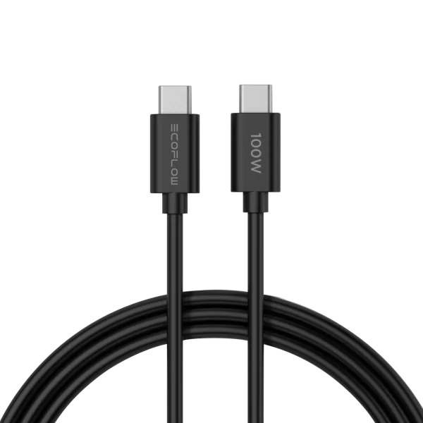 EcoFlow RAPID 65W GaN Charger with 100W Cable - Image 2